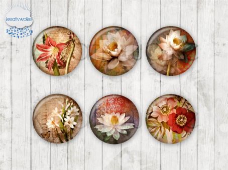 Motiv-Cabochons 1804 